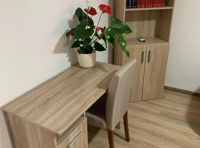 Zmaj Apartman Srbobran